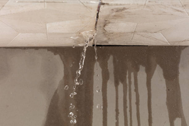 Professional Water Extraction technician working in Elwell, MI